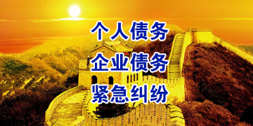 龙凤追债公司